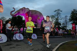 BIB: 
                            <button type="button" onclick="openModal(26529576)" class="btn btn-primary btn-sm float-right btn-popup" data-toggle="modal" data-target=".modal-high-quality">
                        <i class="fas fa-shopping-cart"></i> Add to Cart
                    </button>
                                            <button type="button" onclick="isThisMe(26529576, true)" class="btn btn-success btn-sm float-right btn-popup btn-isme hidden" data-toggle="tooltip" data-placement="bottom" title="นี่คือรูปของคุณใช่ไหม คลิกที่นี่เพื่อเอาเข้าอัลบั้ม">
                        <i class="fas fa-plus"></i> Add to album
                    </button>
                    <button type="button" onclick="isThisMe(26529576, false)" class="btn btn-warning btn-sm float-right btn-popup btn-isnotme hidden">
                        <i class="fas fa-ban"></i> Remove from album
                    </button>